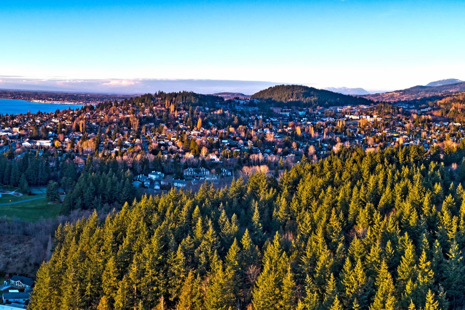 Aerial view of the city of Bellingham